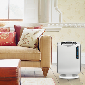 AeraMax® DX55 Air Purifier