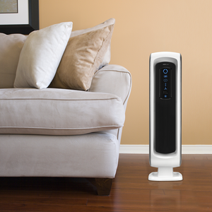 AeraMax® DX5 Air Purifier