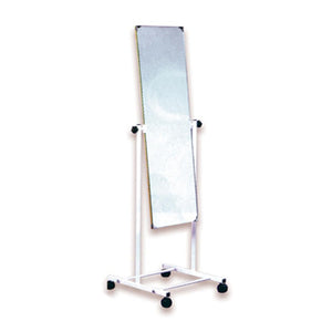 Mobile Posture Mirror