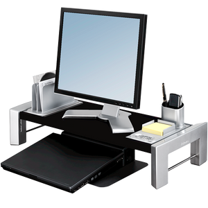 Professional Series Flat Panel Workstation