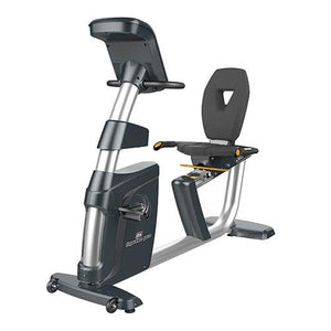 Recumbent Exercise Bike Impulse PR500