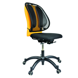 Office Suites Mesh Back Support